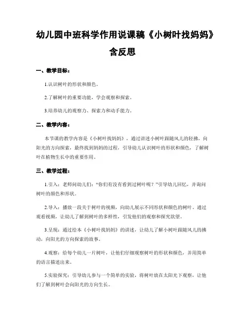 幼儿园中班科学作用说课稿《小树叶找妈妈》含反思