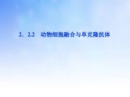 动物细胞融合与单克隆抗体PPT