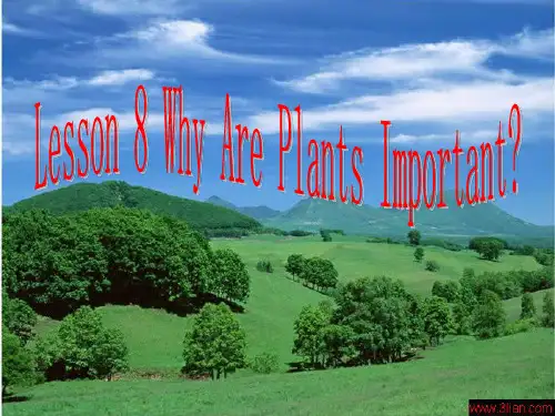 冀教版英语课件八下Lesson 8 Why are plants important