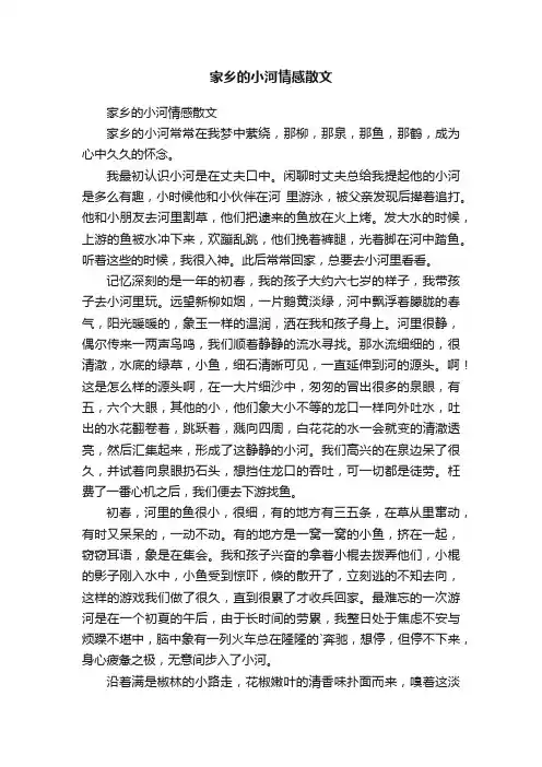 家乡的小河情感散文