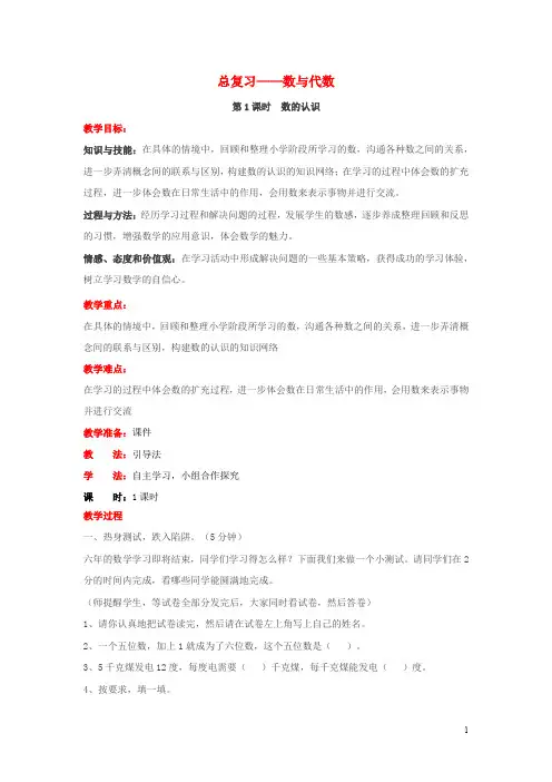 六年级数学下册总复习1数与代数第1课时数的认识教案设计北师大版
