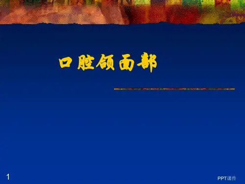 口腔颌面部  ppt课件