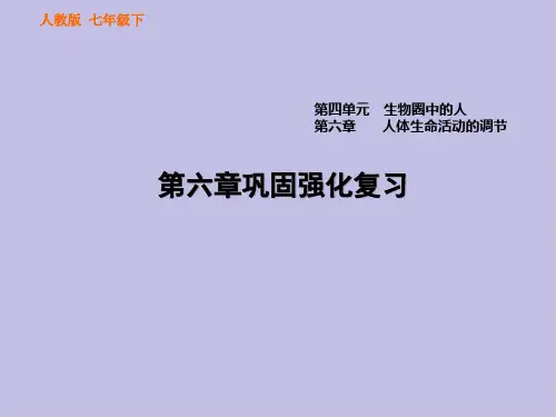 人教版七年级生物下册 第6章生命活动的调节 章节知识总结