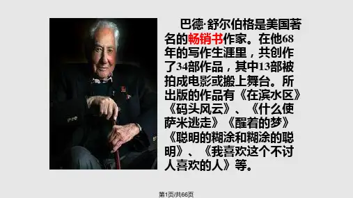 19精彩极了和糟糕透了1PPT教学课件