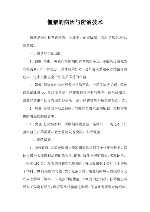 僵猪病因与防治技术