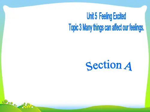 【最新】仁爱版八年级英语下册Unit 5 Topic 3 Section A精品课件.ppt
