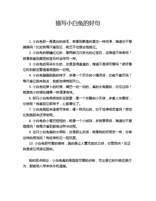 描写小白兔的好句