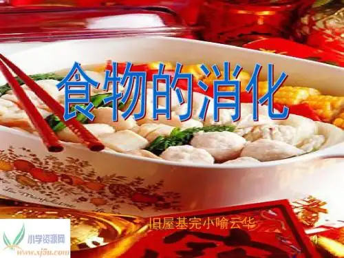 (苏教版)四年级科学上册课件_食物的消化