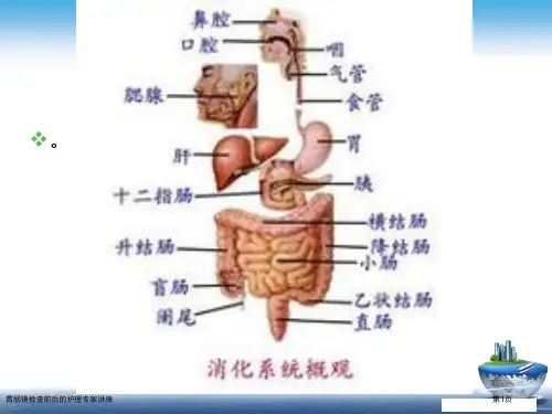 胃肠镜检查前后的护理专家讲座