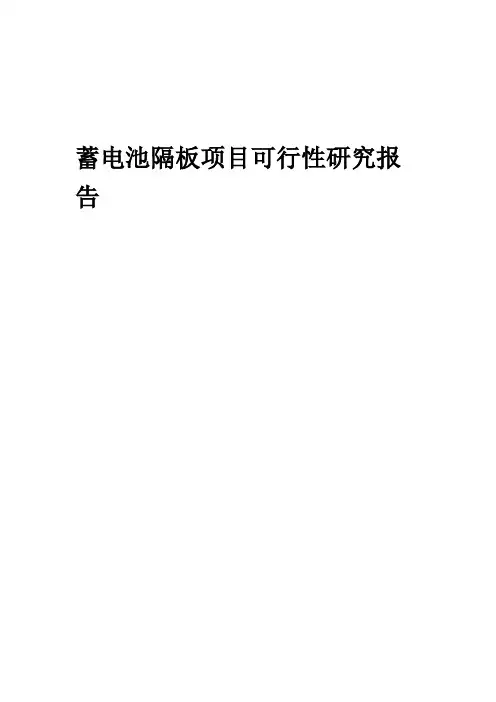 2024年蓄电池隔板项目可行性研究报告及运营方案