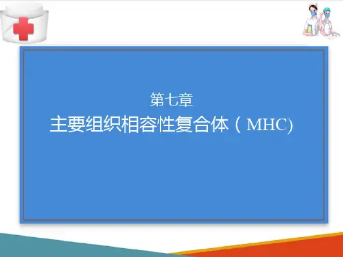 主要组织相容性复合体(免疫学检验课件)