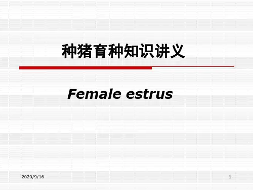 种猪育种知识讲义