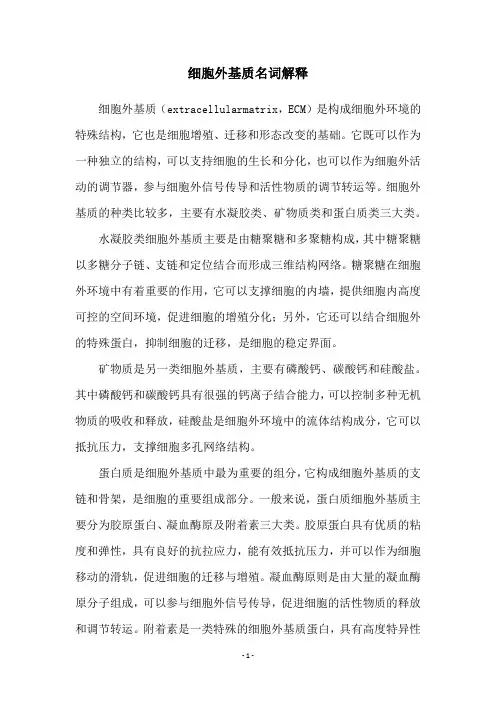 细胞外基质名词解释