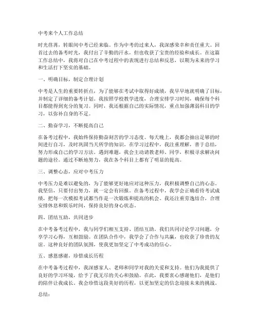 中考来个人工作总结怎么说