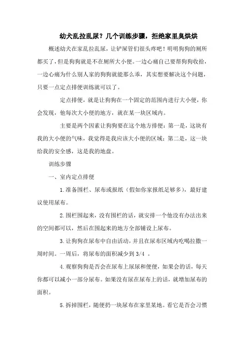 幼犬乱拉乱尿？几个训练步骤,拒绝家里臭烘烘