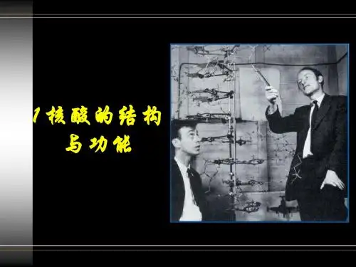 生物化学与原理1核酸-1