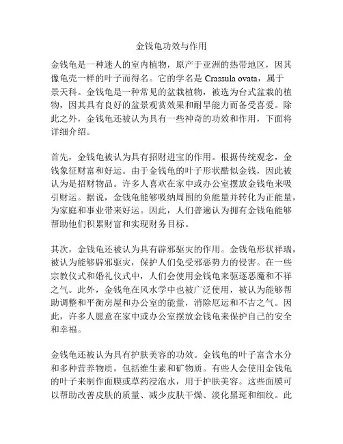 金钱龟功效与作用