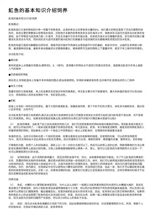 魟鱼的基本知识介绍饲养