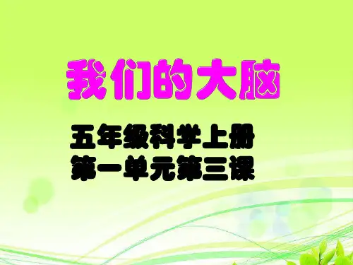 五年级上册科学课件-我们的大脑-湘科版(共22张PPT)
