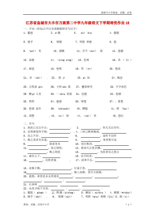 【精品】九年级语文下学期培优作业(含答案)18 苏教版