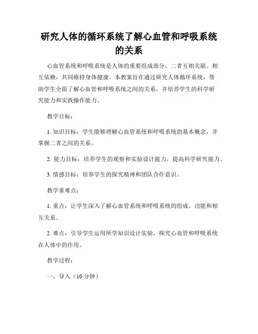 研究人体的循环系统了解心血管和呼吸系统的关系