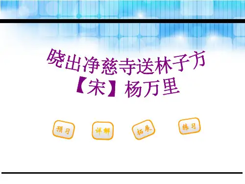 《晓出净慈寺送林子方》PPT[优秀课件]