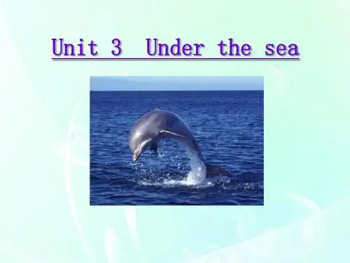 高中英语 Unit 3 Under the sea-Reading阅读课件 人教新目标版选修7