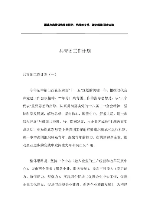 共青团工作计划