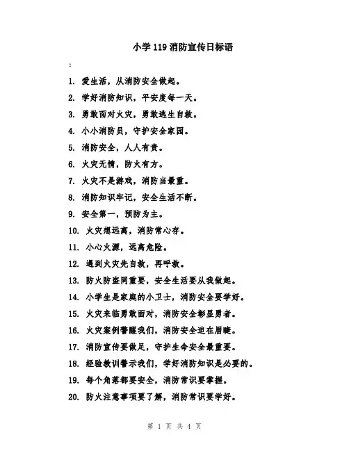 小学119消防宣传日标语