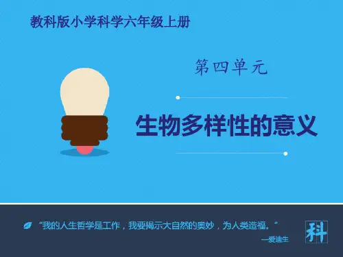 教科版六年级科学上册《生物多样性的意义》PPT课件(7篇)