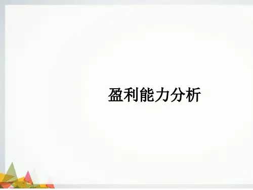 盈利能力分析PPT(共 49张)