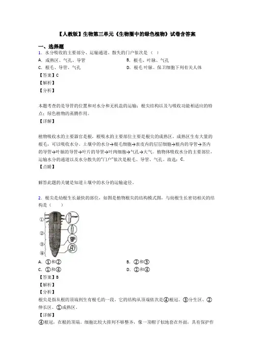 【人教版】生物第三单元《生物圈中的绿色植物》试卷含答案