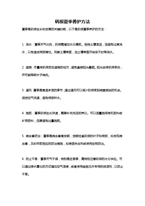 矾根夏季养护方法