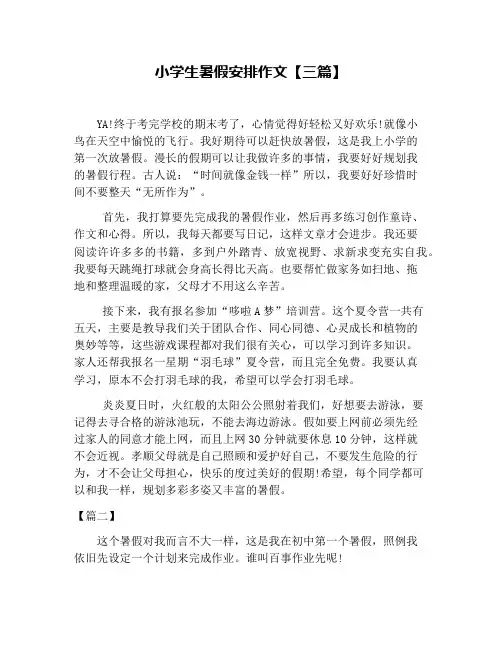 小学生暑假安排作文【三篇】