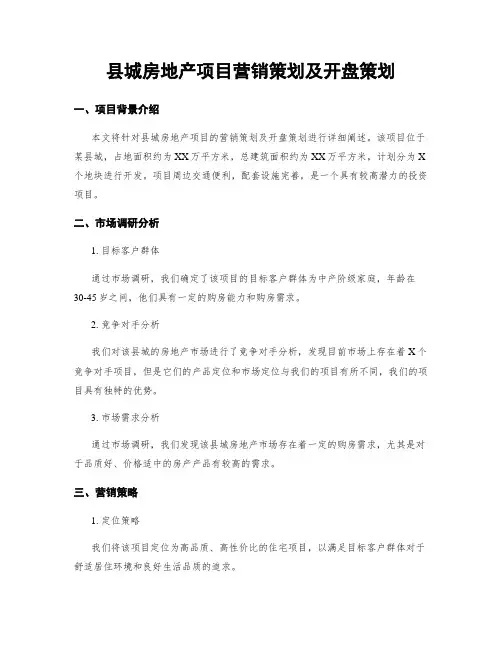 县城房地产项目营销策划及开盘策划