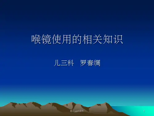 《喉镜使用相关知识》PPT课件
