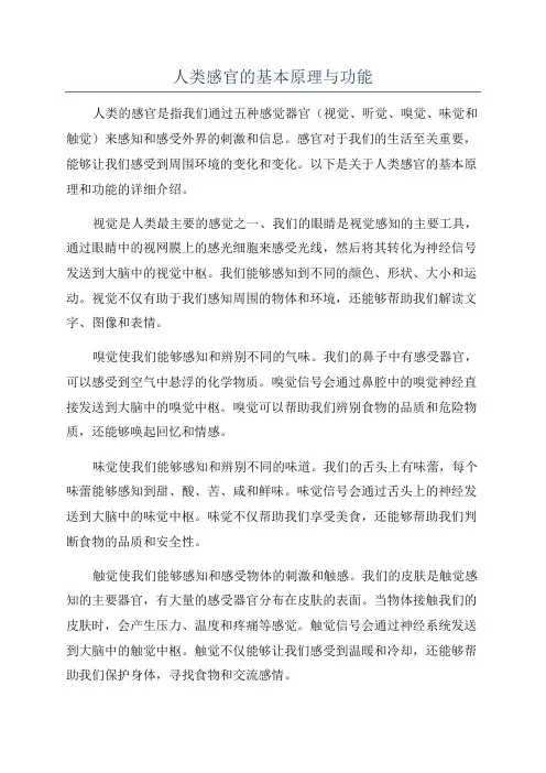 人类感官的基本原理与功能