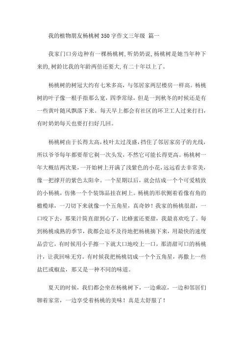 我的植物朋友杨桃树350字作文三年级下册
