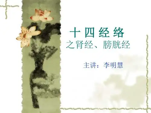 十四经络之肾膀胱-PPT精选文档