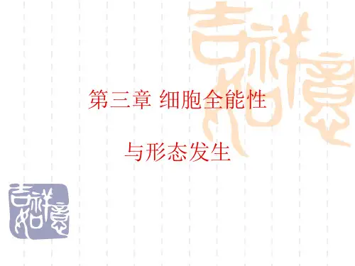 《细胞全能性》幻灯片PPT