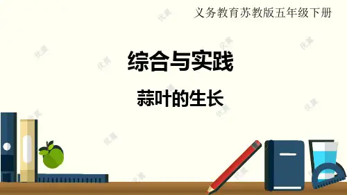 苏教版五年级数学下册教案课件等资料-综合与实践   蒜叶的生长
