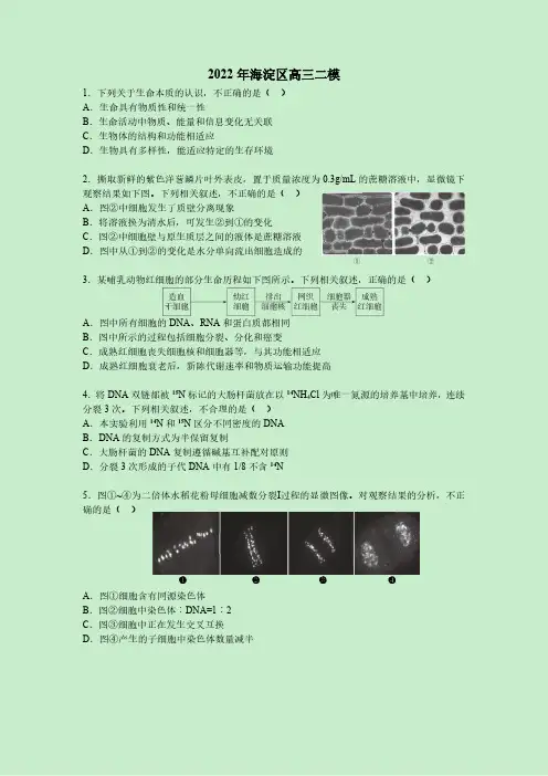 2022年北京海淀区高三生物二模试题及答案(含解析)