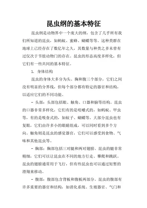 昆虫纲的基本特征