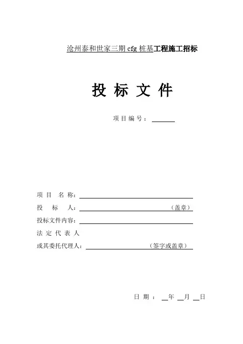泰和世家三期桩基工程技术部分(暗标)