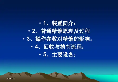 聚合生产工艺