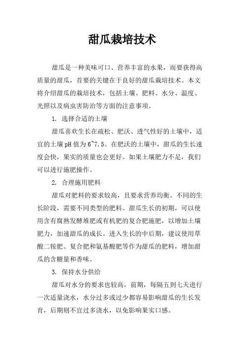 甜瓜栽培技术