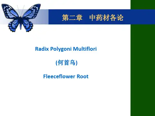 中国药科大学中药学专业英语课件何首乌