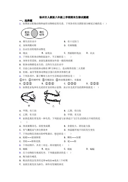 徐州市人教版八年级上学期期末生物试题题