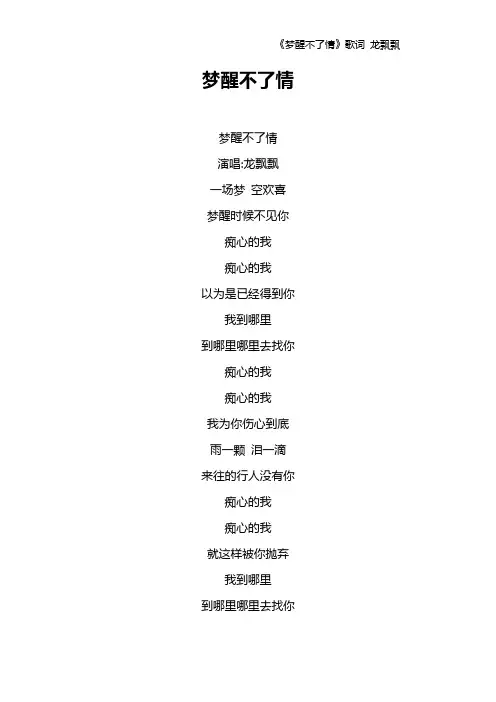 《梦醒不了情》歌词 龙飘飘