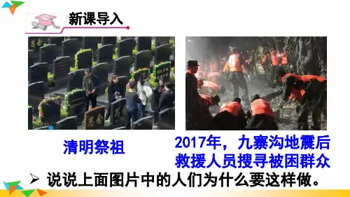 七年级道德与法治上册教学课件《敬畏生命》